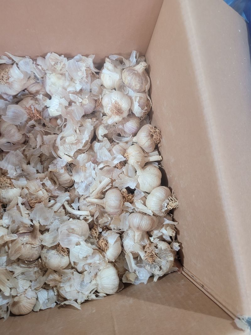 전남 장흥 장주하님의 장터 구매 후기 썸네일