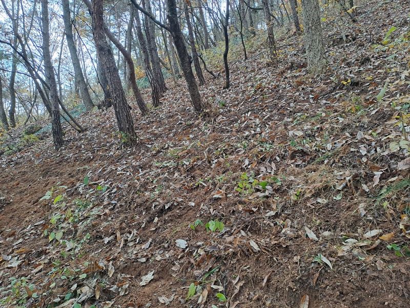 송은희님의 장터 구매 후기 썸네일