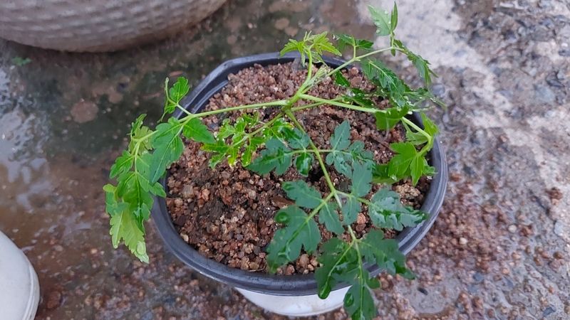 방승준님의 장터 구매 후기 썸네일