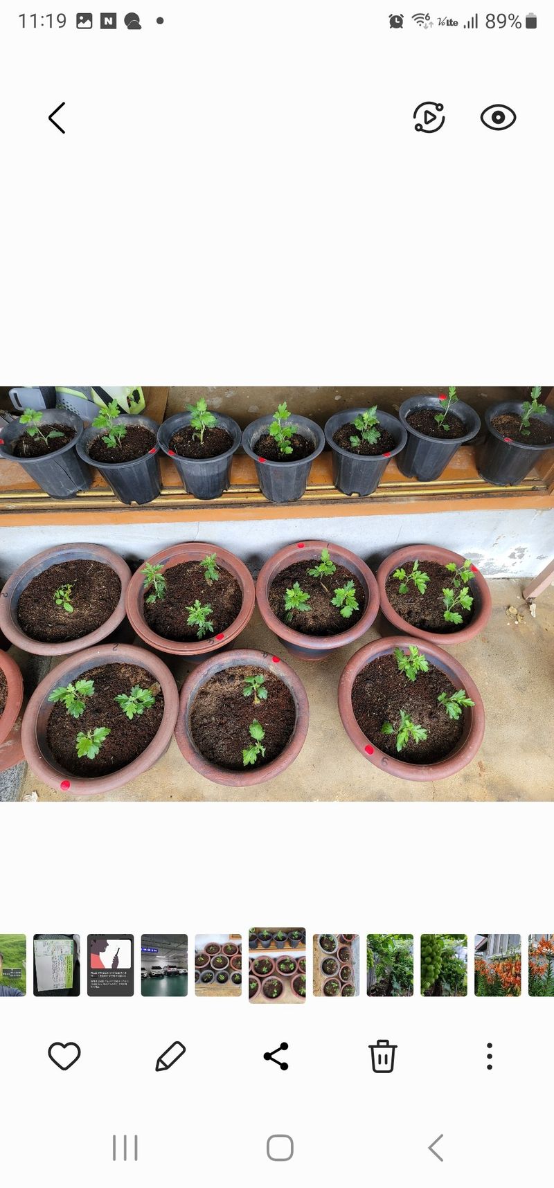 옥수수11269님의 장터 구매 후기 썸네일