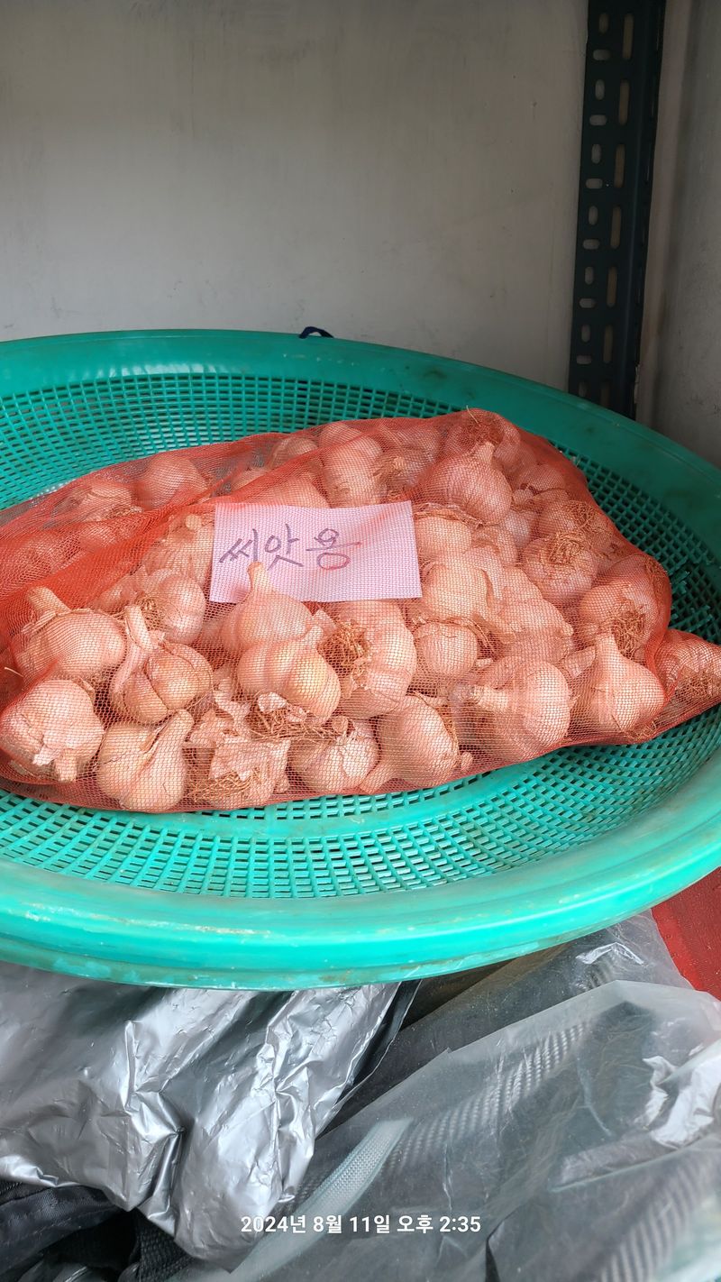 도솔님의 장터 구매 후기 썸네일