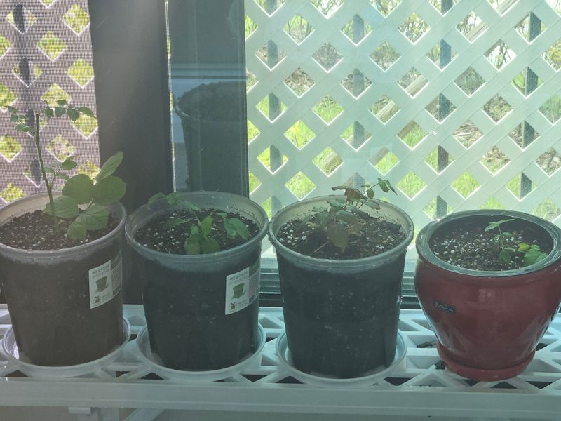 이상준님의 장터 구매 후기 썸네일