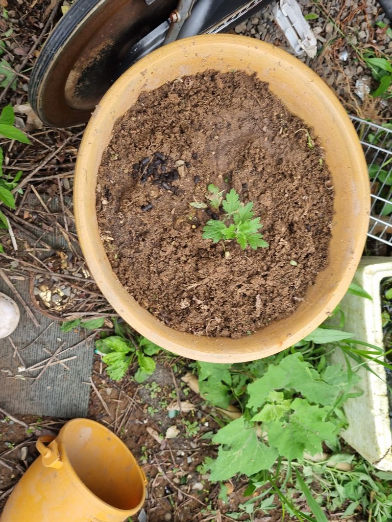박문도님의 장터 구매 후기 썸네일