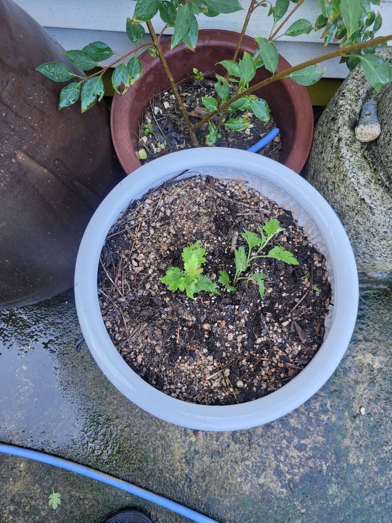 이희규님의 장터 구매 후기 썸네일