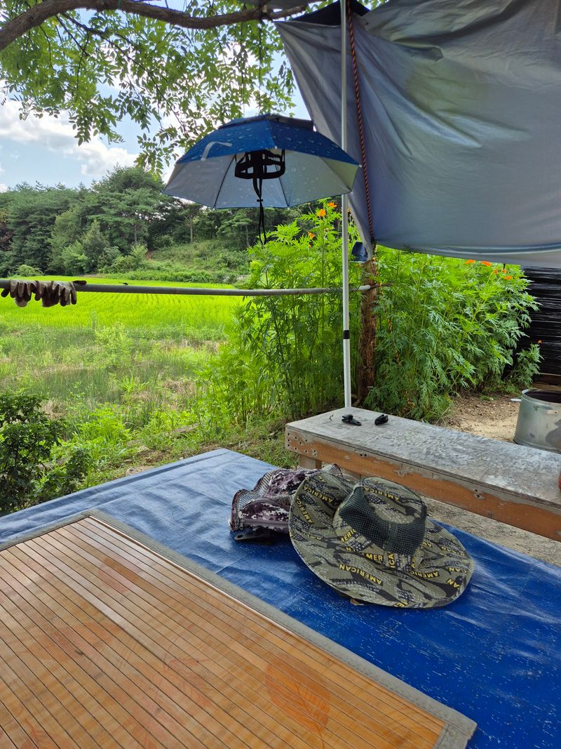 호박6819차남영님의 장터 구매 후기 썸네일