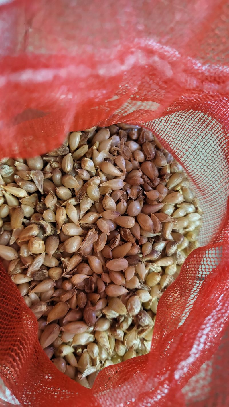 조미숙님의 장터 구매 후기 썸네일