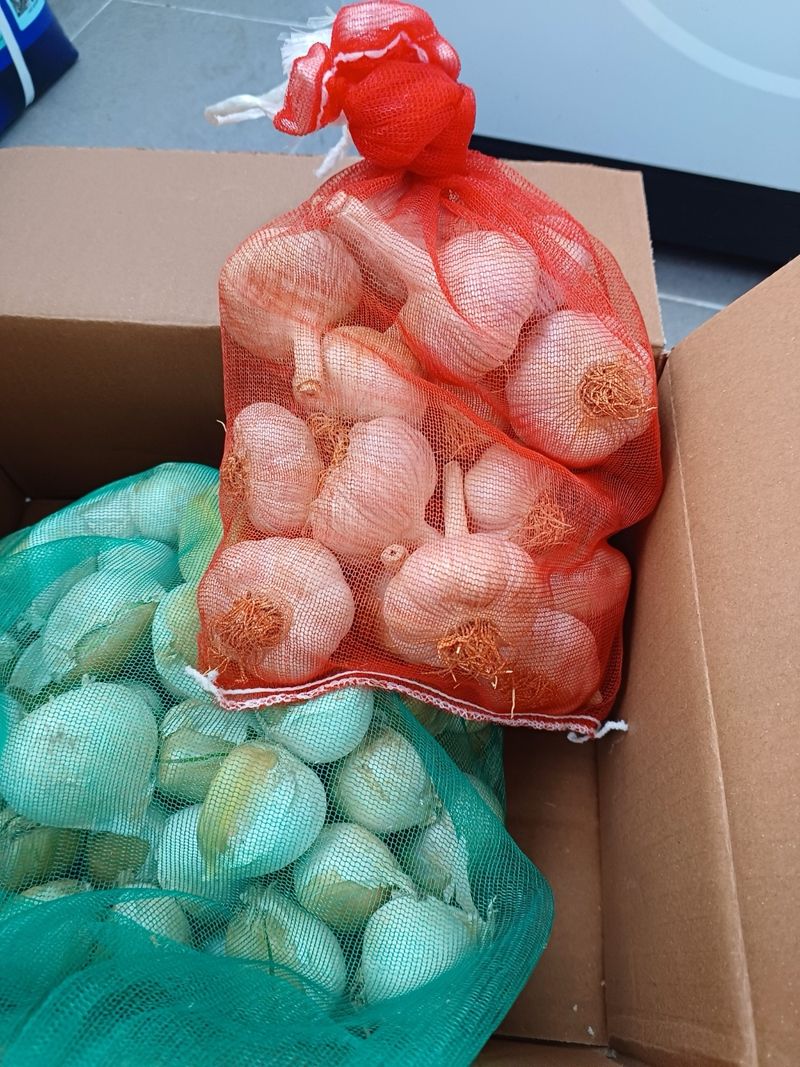 정다은님의 장터 구매 후기 썸네일