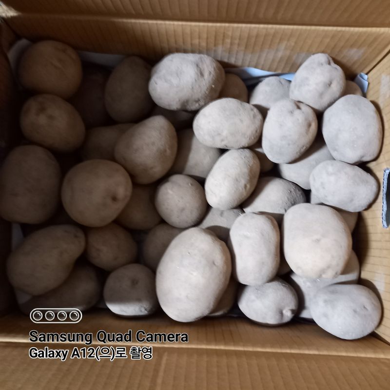 최동구님의 장터 구매 후기 썸네일