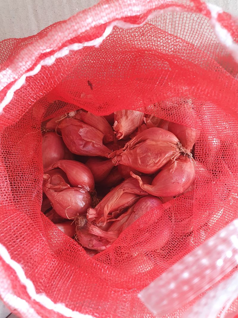 마늘8928님의 장터 구매 후기 썸네일