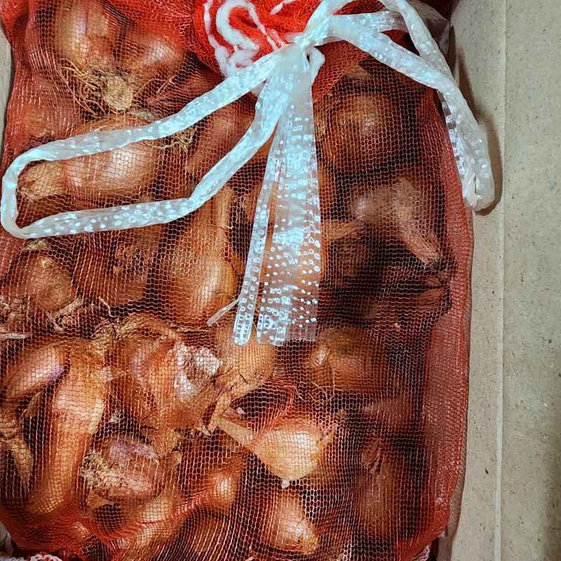 제주삼둥이네님의 장터 구매 후기 썸네일