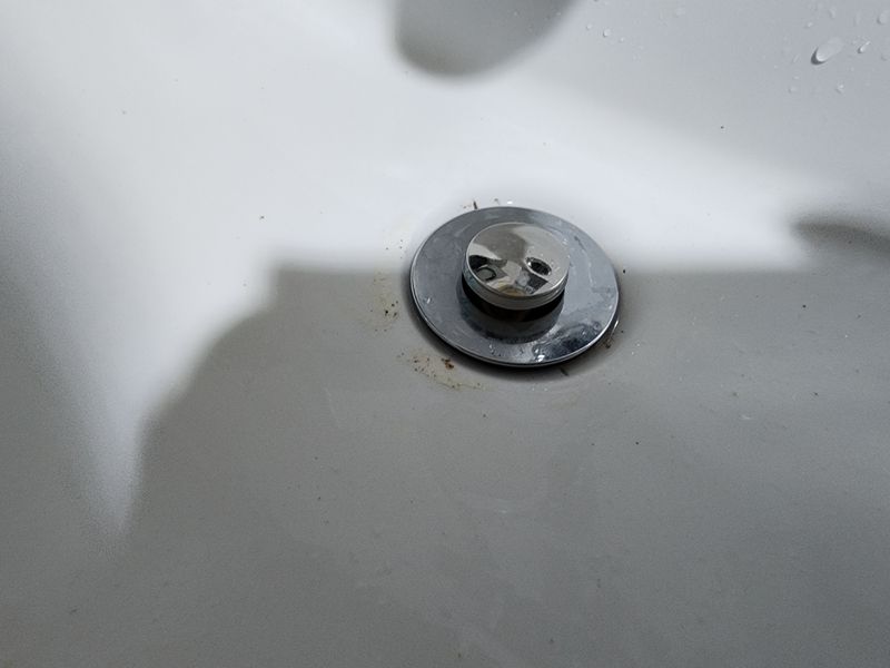 조정권님의 장터 구매 후기 썸네일