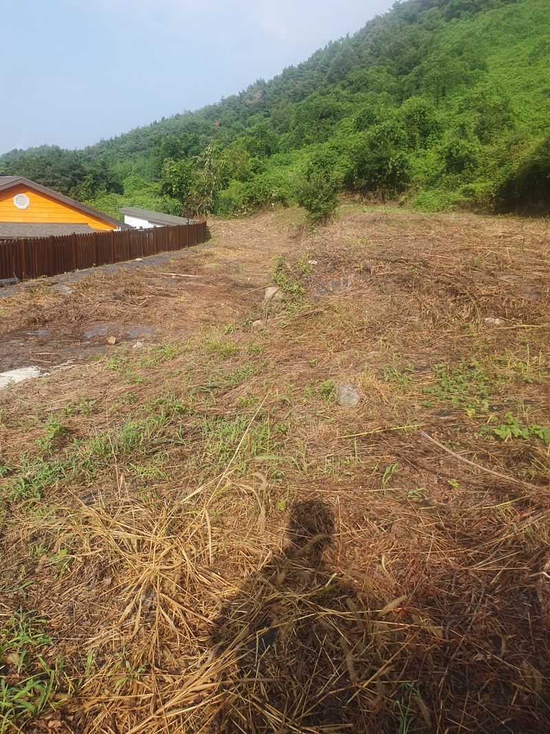 시골농부뜨돌이님의 장터 구매 후기 썸네일