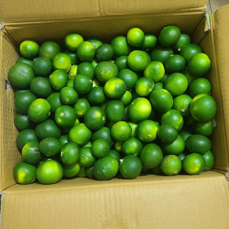 박미영님의 장터 구매 후기 썸네일