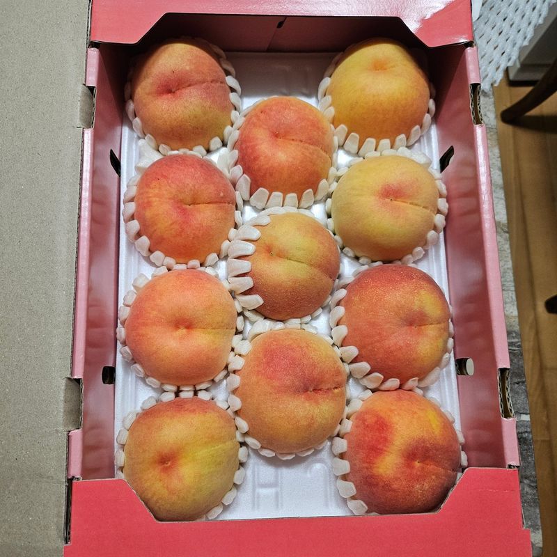 minari7507님의 장터 구매 후기 썸네일