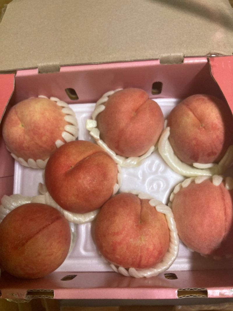 내산농장님의 장터 구매 후기 썸네일