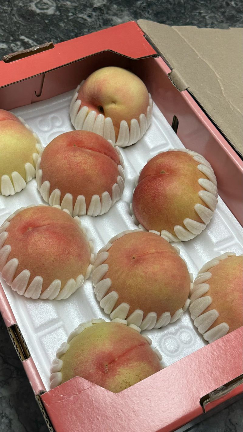 유림농장님의 장터 구매 후기 썸네일