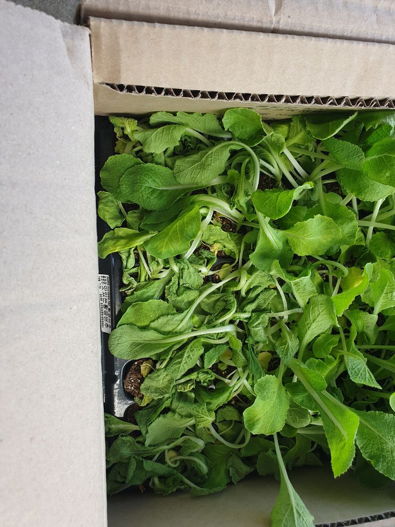 박문식님의 장터 구매 후기 썸네일