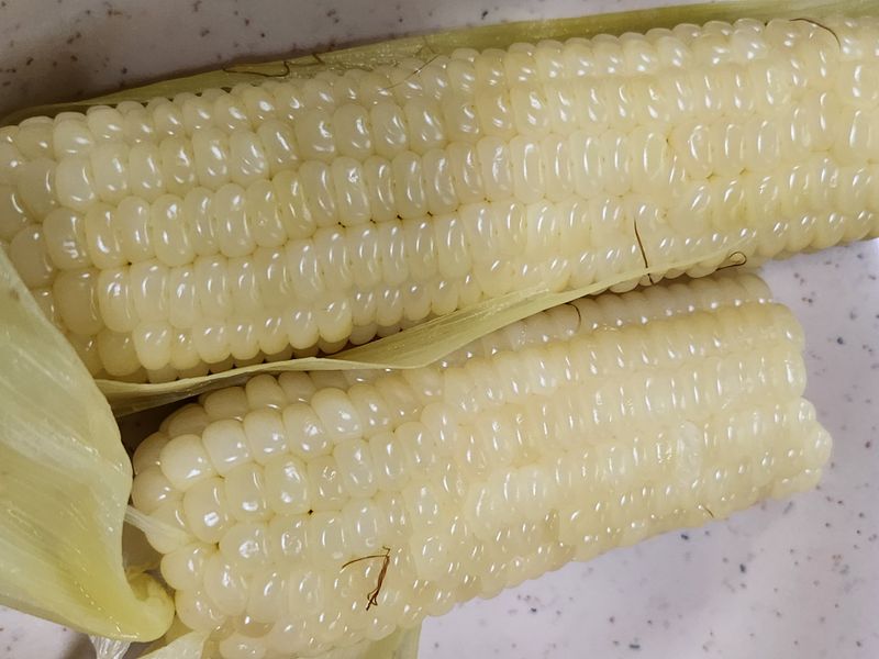 혜수기님의 장터 구매 후기 썸네일