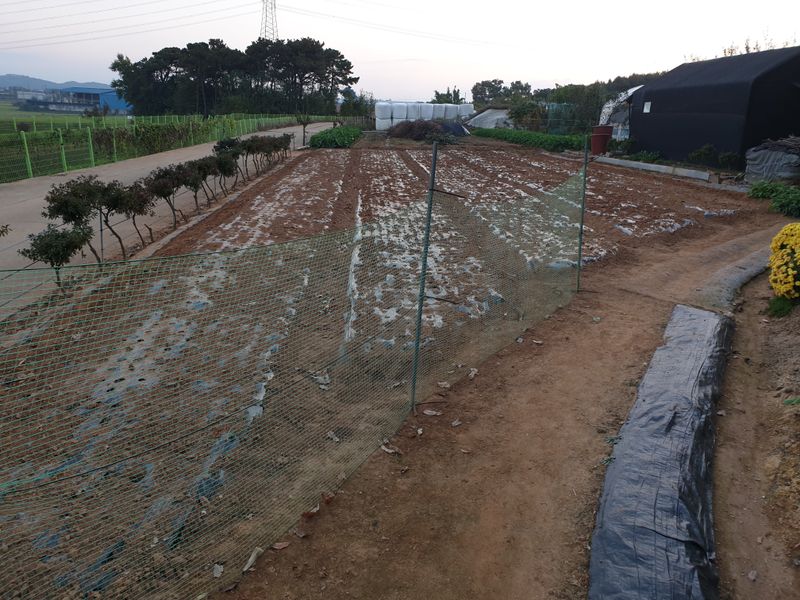 조윤희님의 장터 구매 후기 썸네일