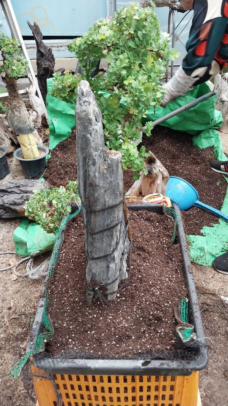 강길원 님의 장터 구매 후기 썸네일