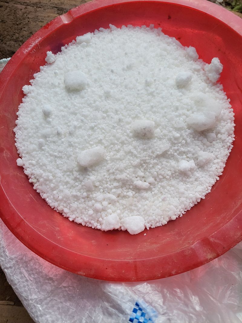 이윤형님의 장터 구매 후기 썸네일