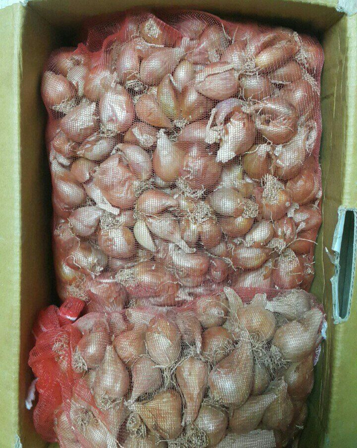 정보센터님의 장터 구매 후기 썸네일