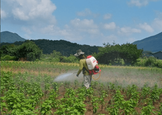배추1402님의 장터 구매 후기 썸네일
