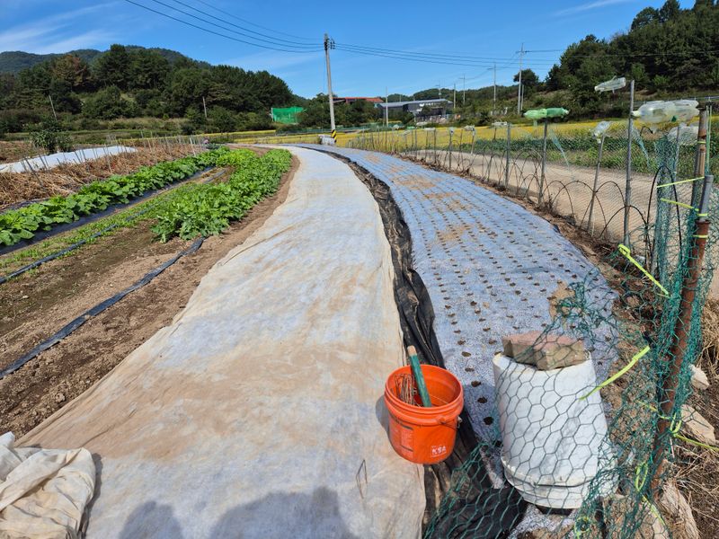 착한농부 안병하님의 장터 구매 후기 썸네일
