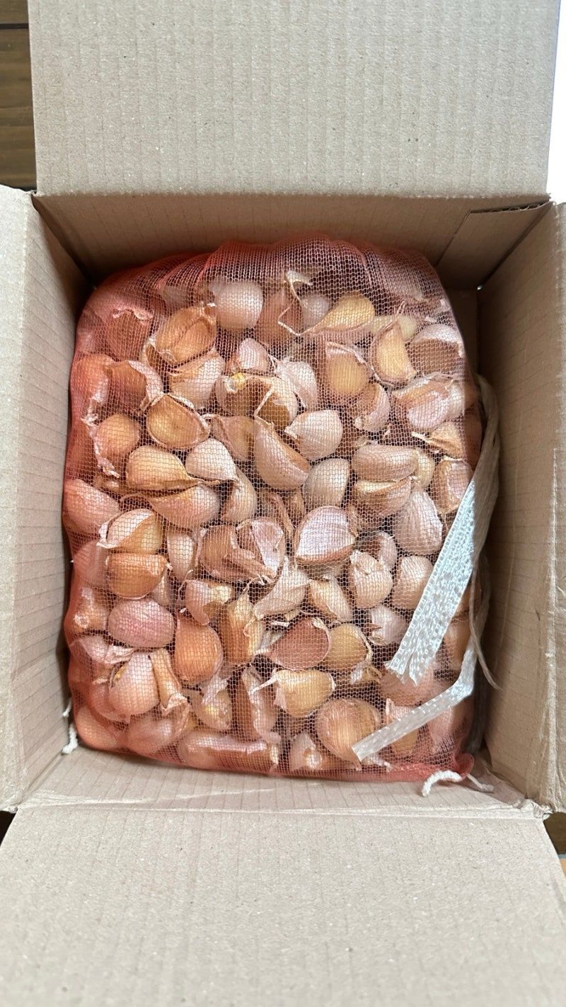 김택명님의 장터 구매 후기 썸네일