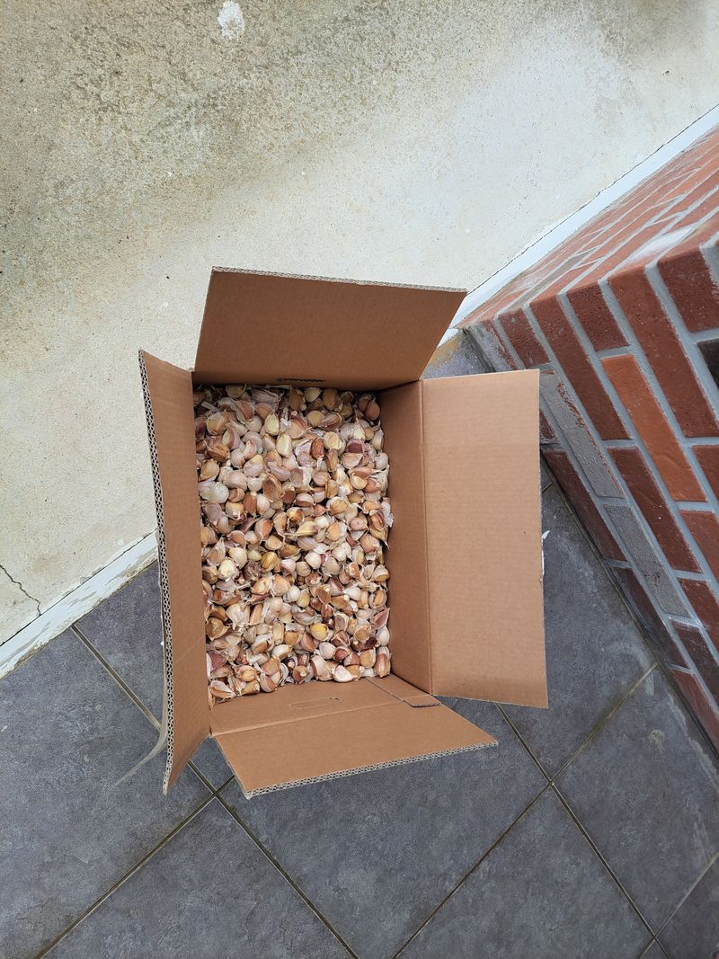 박상선님의 장터 구매 후기 썸네일