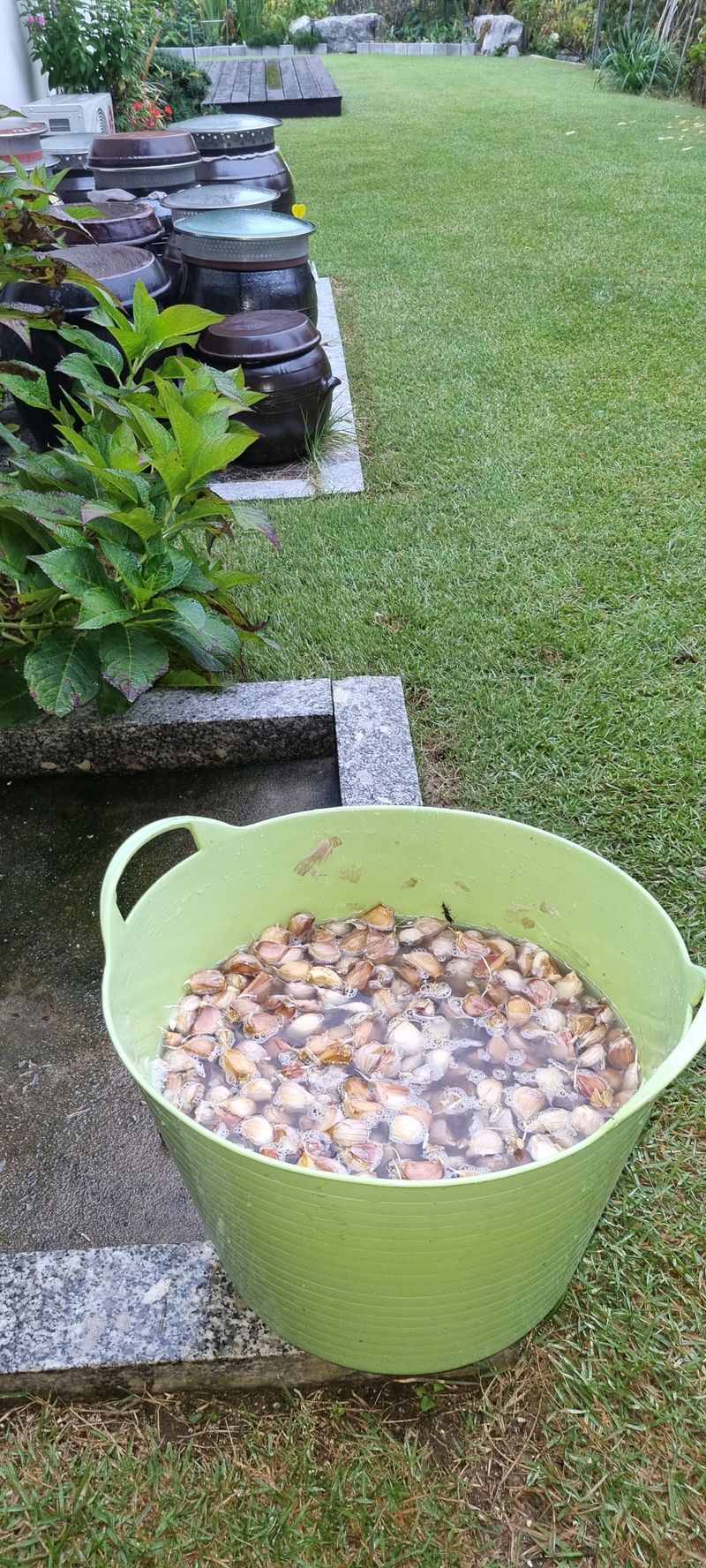 이상권님의 장터 구매 후기 썸네일