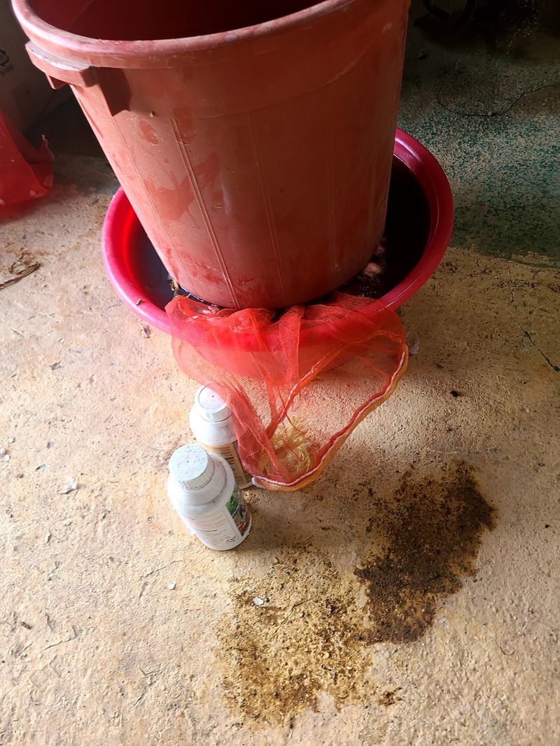 쌤말님의 장터 구매 후기 썸네일