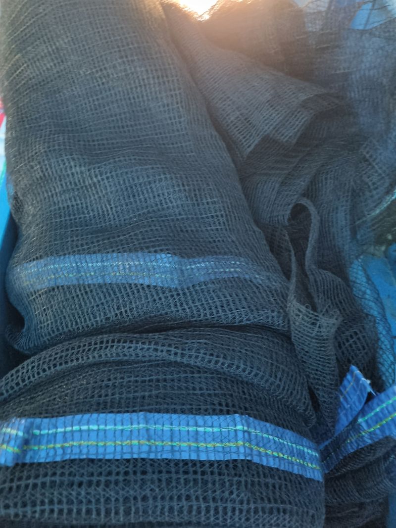 아쌰야로~님의 장터 구매 후기 썸네일