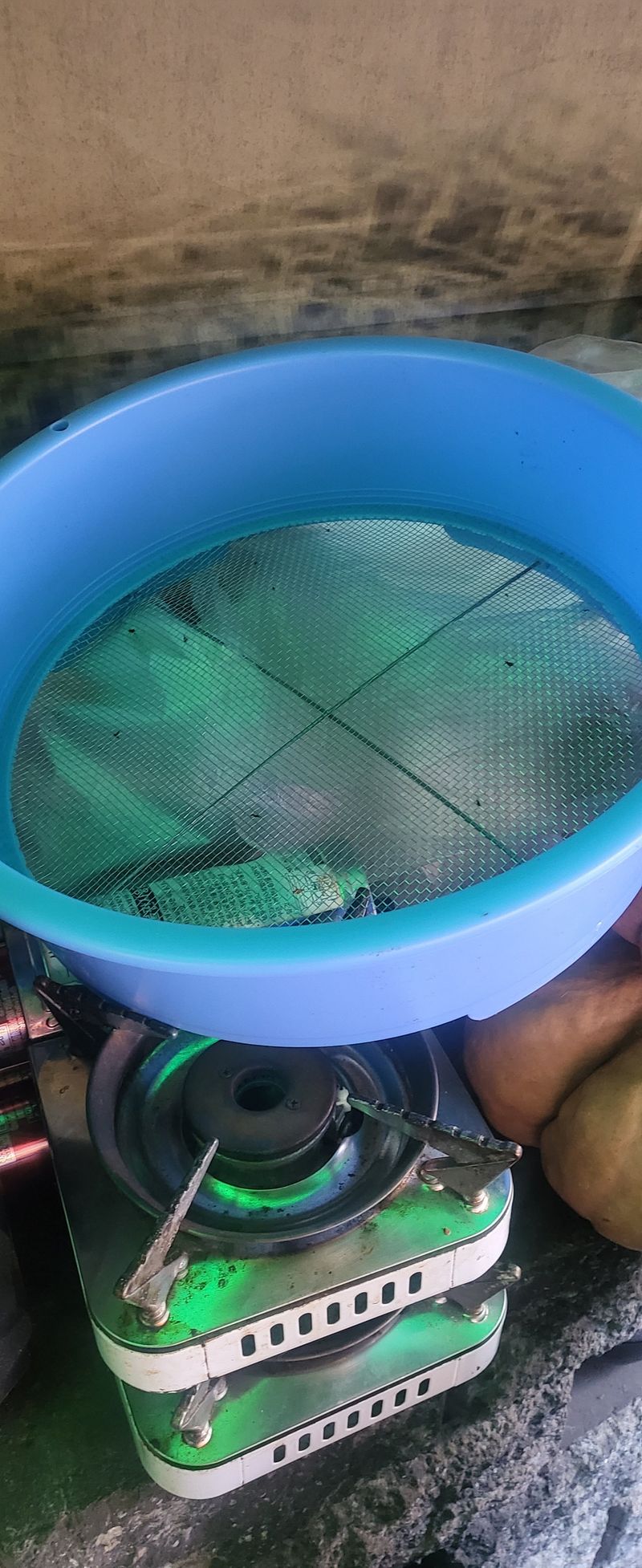 용문버섯맛집고향지기님의 장터 구매 후기 썸네일