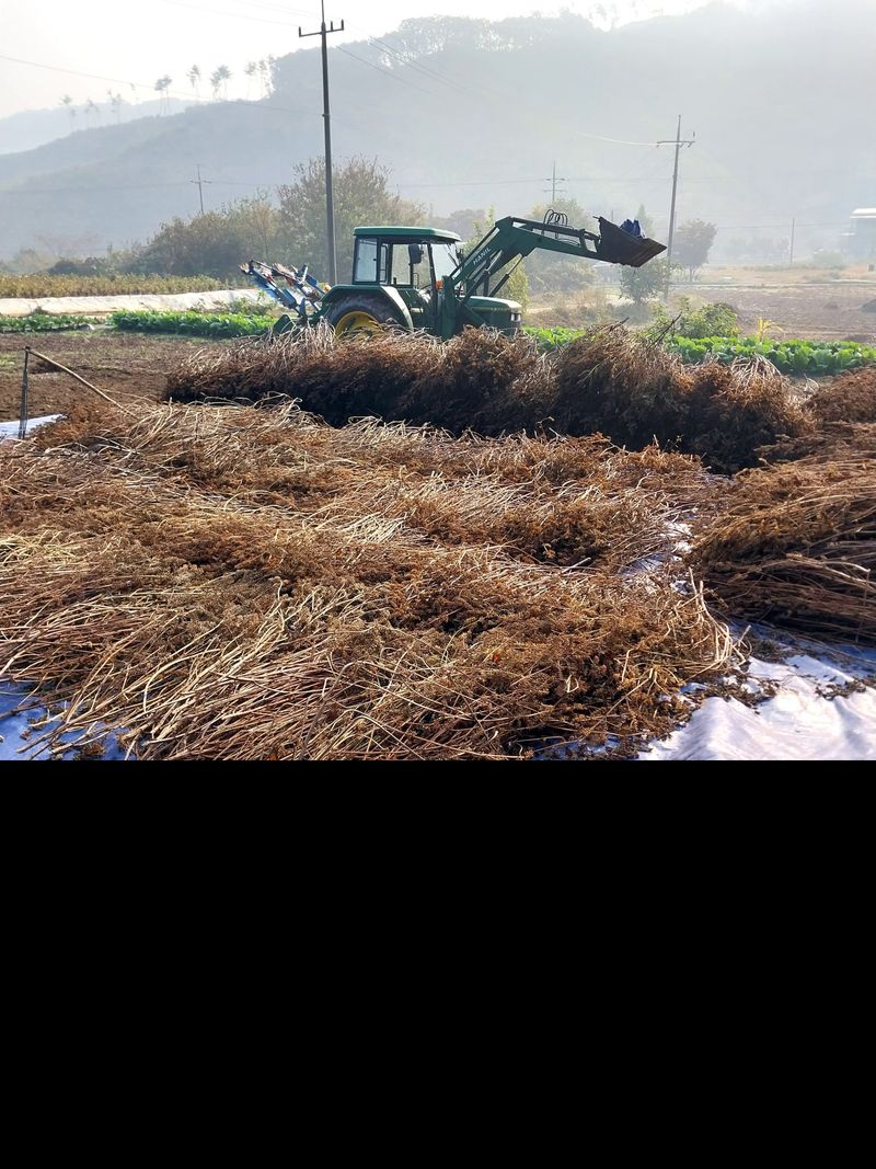 윤홍규님의 장터 구매 후기 썸네일