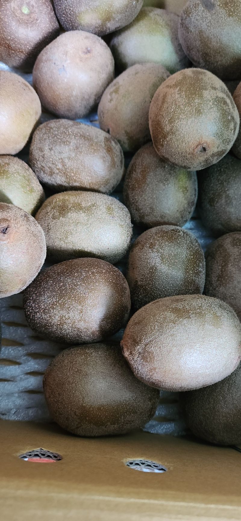 한중리님의 장터 구매 후기 썸네일