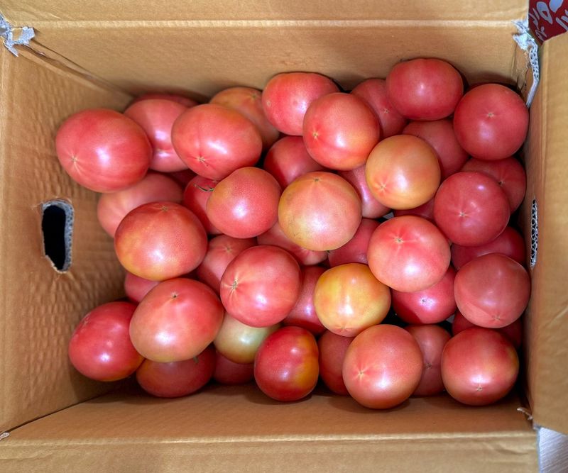 장독대님의 장터 구매 후기 썸네일