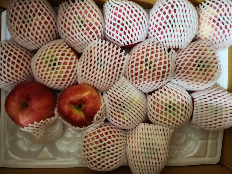 안산제일농약사님의 장터 구매 후기 썸네일