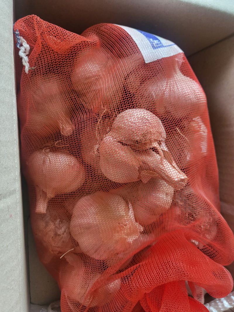 봄이네님의 장터 구매 후기 썸네일