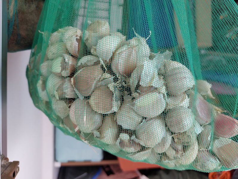 김태원님의 장터 구매 후기 썸네일