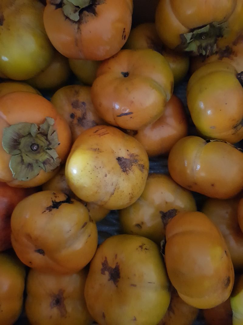 오순님의 장터 구매 후기 썸네일