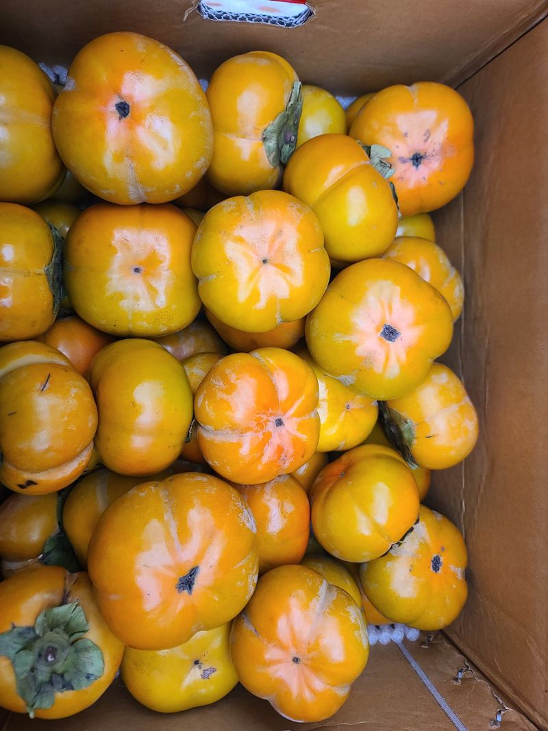 신경여님의 장터 구매 후기 썸네일