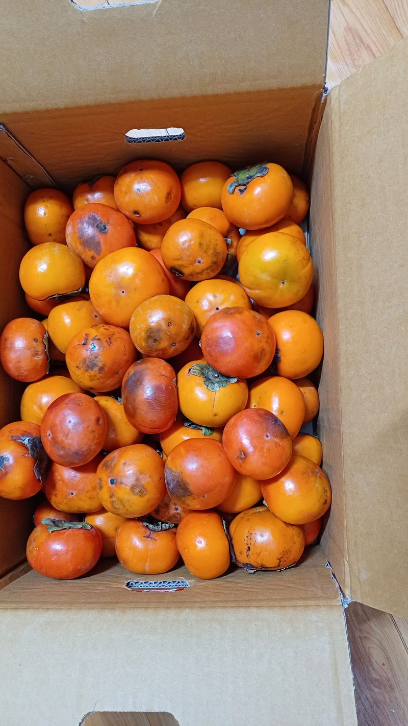 박순덕님의 장터 구매 후기 썸네일