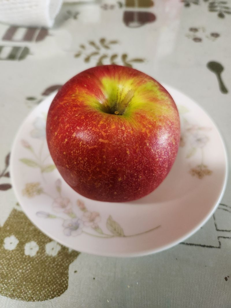 이정연님의 장터 구매 후기 썸네일