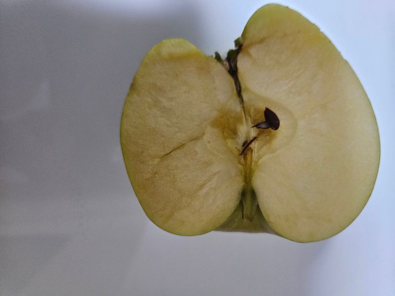 NEWS64님의 장터 구매 후기 썸네일