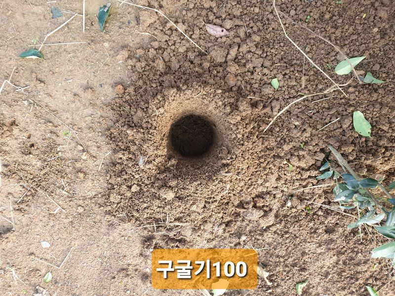 김순필수방님의 장터 구매 후기 썸네일