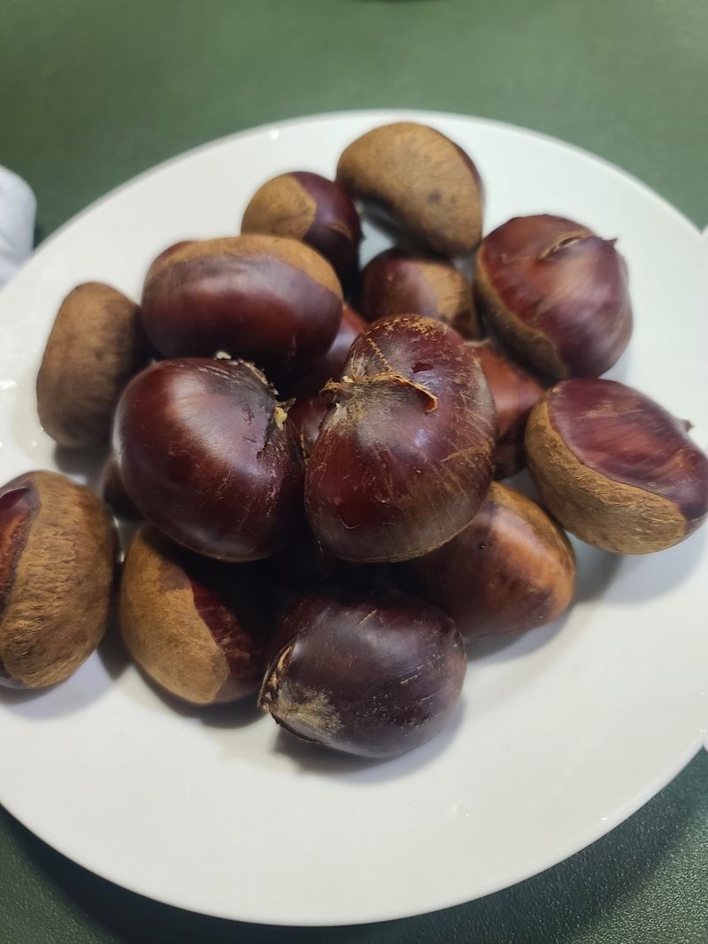 정지연님의 장터 구매 후기 썸네일