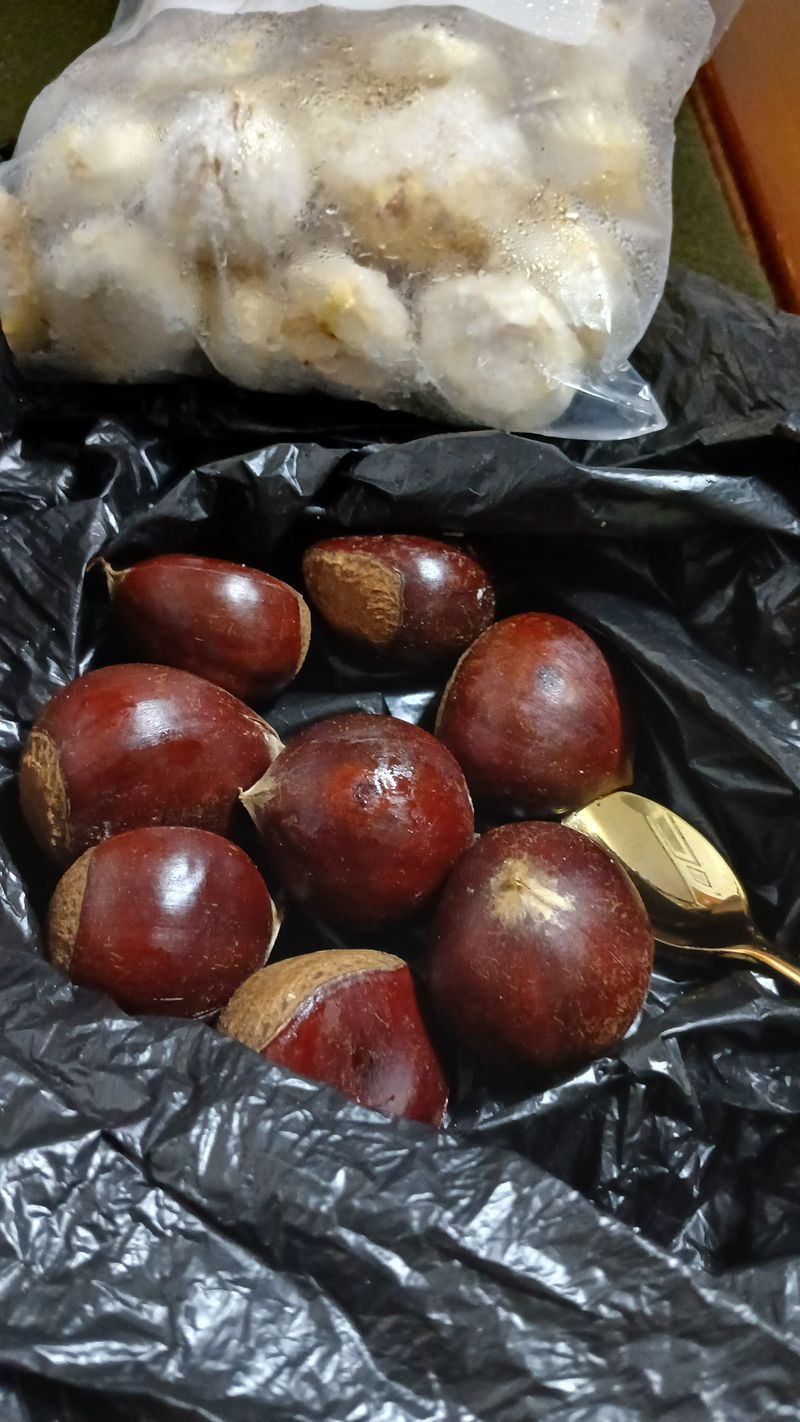 텃밭농부님의 장터 구매 후기 썸네일