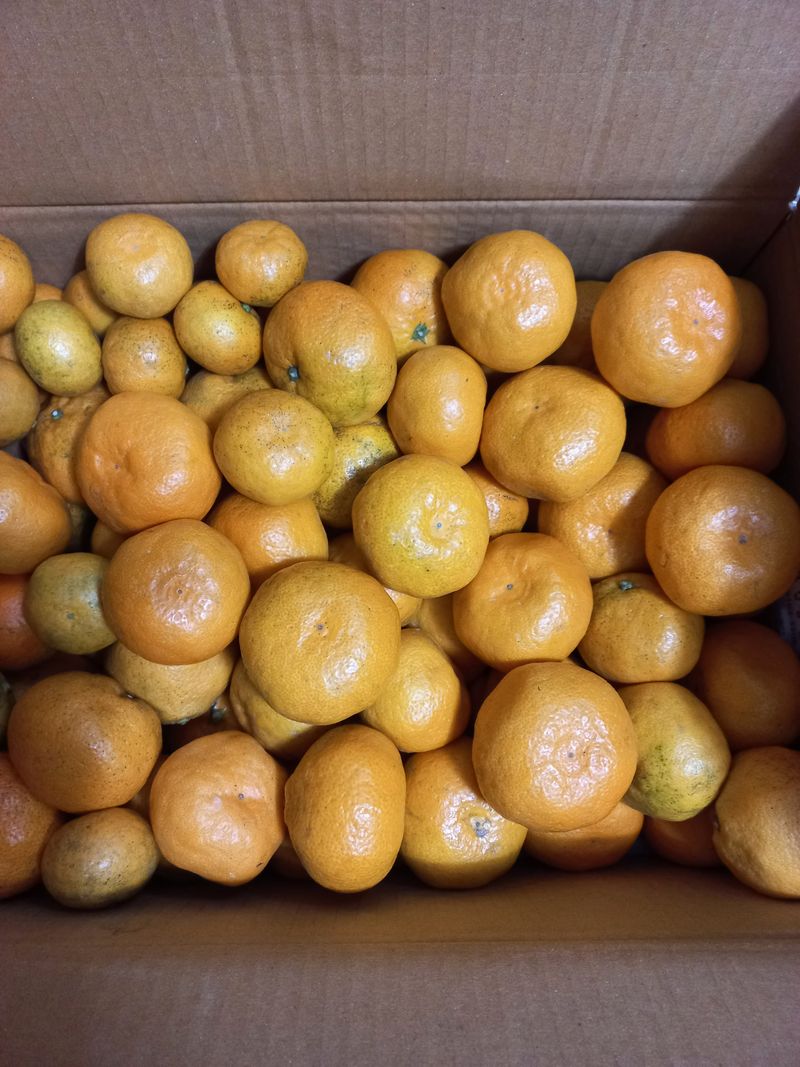 은지맘님의 장터 구매 후기 썸네일