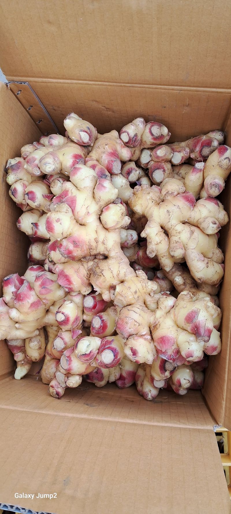 별라님의 장터 구매 후기 썸네일